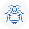 Bed Bug Extermination In Mountain Ash